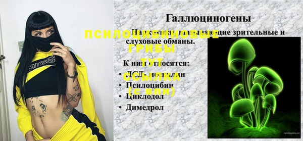 mdpv Алзамай