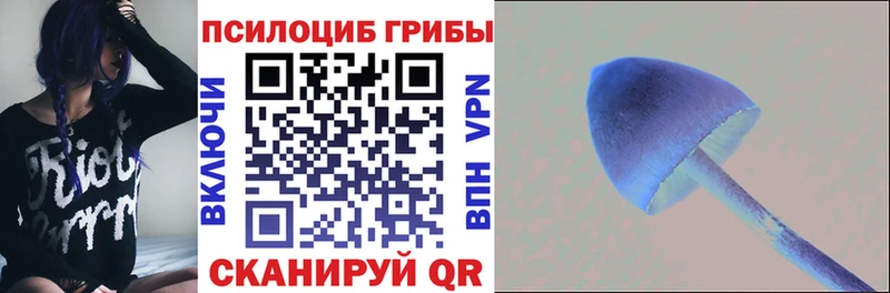 kraken сайт  Александровск-Сахалинский  Галлюциногенные грибы Psilocybe 